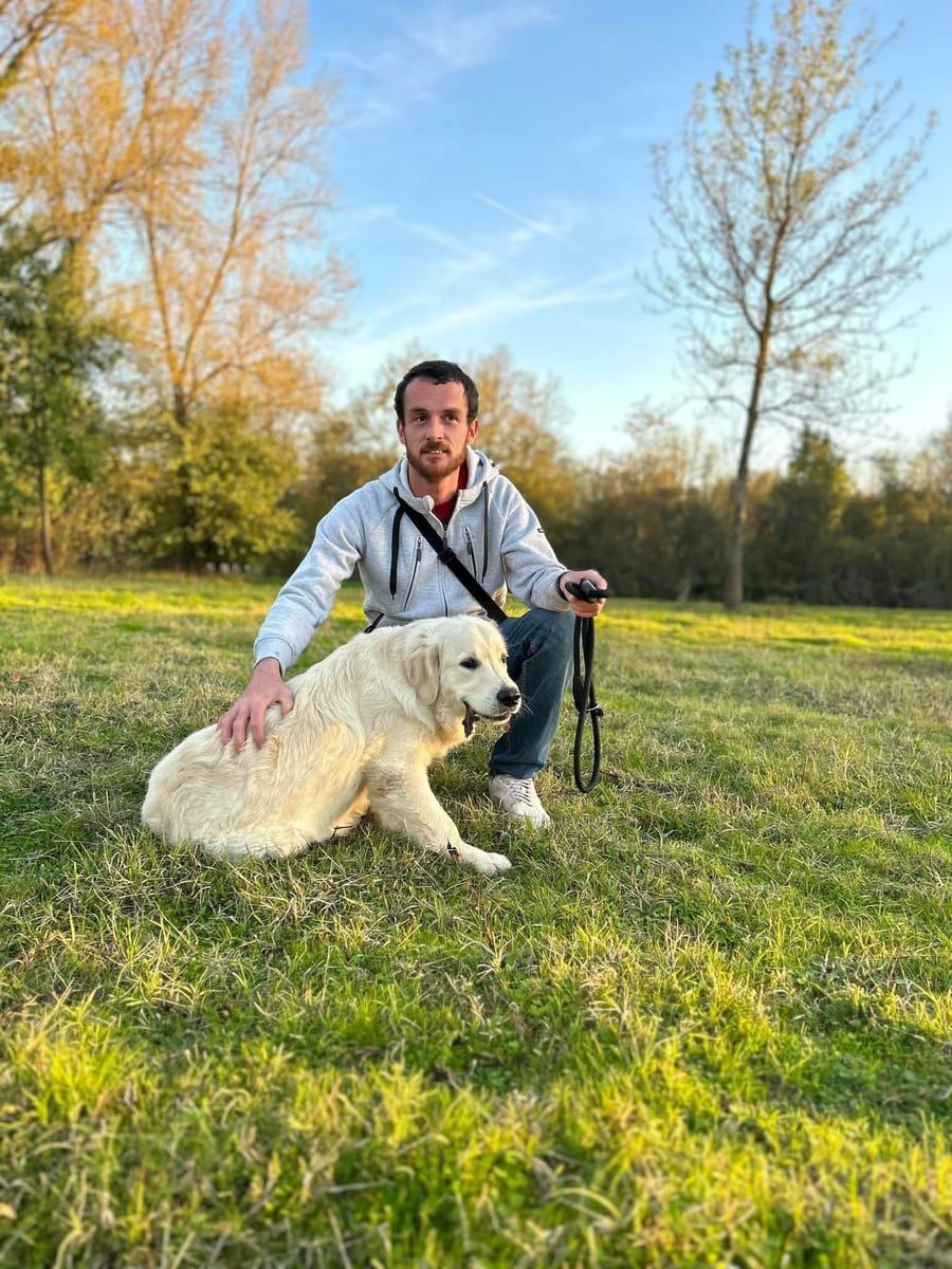 Profil von Cosmin