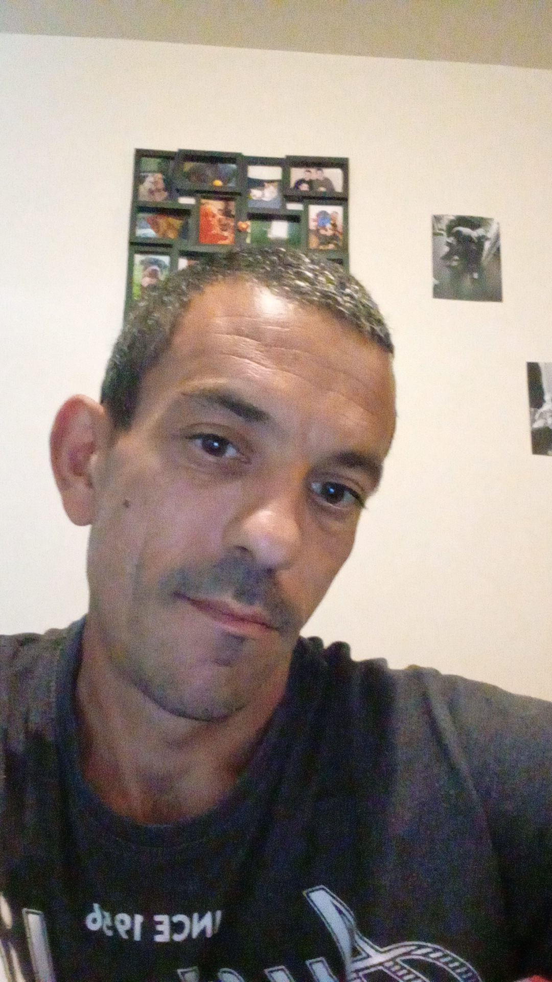 Profil von Sajed